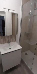 Appartement à louer 2 pièces 41.9m² - Photo 4