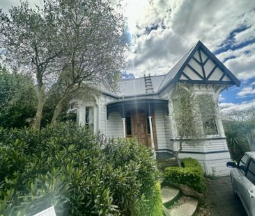 Poised and proud in Maori Hill - Photo 1