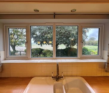 Brandon, Sedge fen - Photo 5