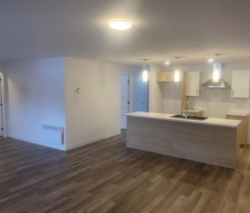 3 CH - 2 SDB - Waterloo - $1,550 /mo - Photo 4