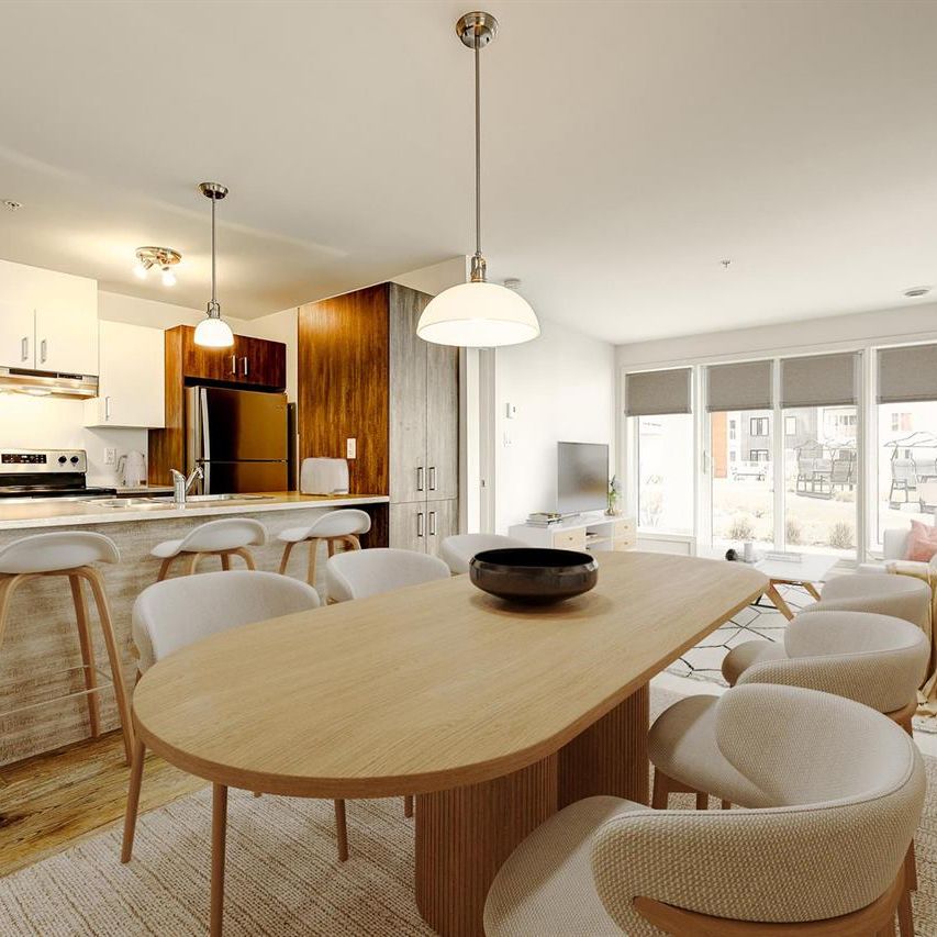 1 Bedroom - 2540 Rue Maurice-Savoie, Longueuil - Photo 1