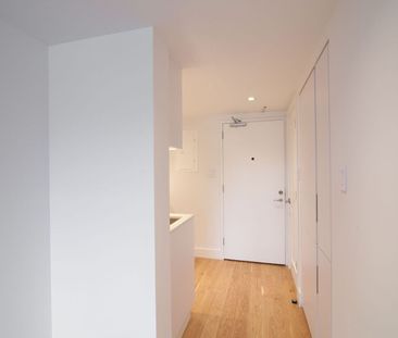 3455 Rue Aylmer, Montréal, QC - Photo 4