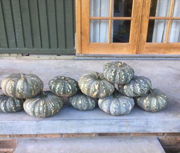 Martins Creek - Photo 3