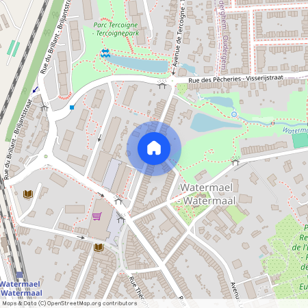 RUE DU GRUYER 50 1170 - Watermael-Boitsfort