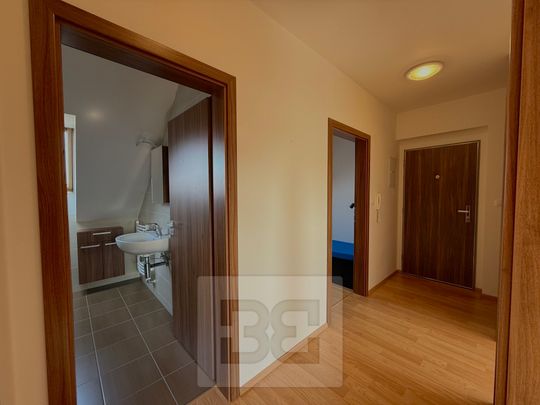 Apartment for rent, 3+kk - 2 bedrooms, 67m - Photo 1