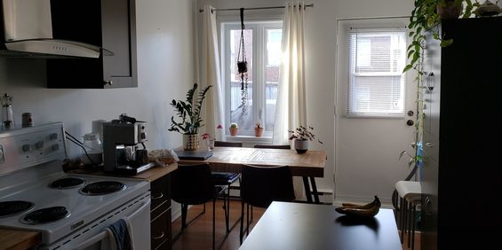 BEAU 3 1/2 AU CŒUR DE SAINT ROCH ! ! ! - Photo 3