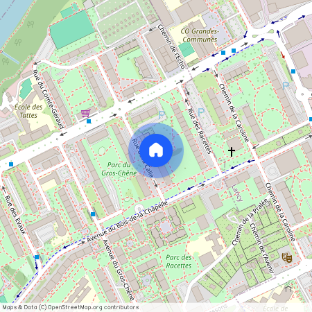 1213, Onex, Rue de la Calle, 38