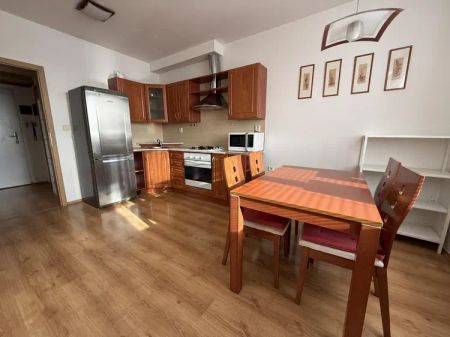 PRONÁJEM CIHLOVÉHO BYTU 2+KK VE ŠLAPANICÍCH U BRNA - Photo 5