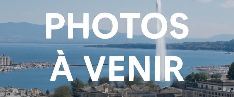 Renovated and quiet semi-detached house in Versoix - Foto 1