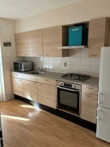 Appartement de 2 pièces Lambert de Wijsstraat, Tilburg - À Louer - Foto 3