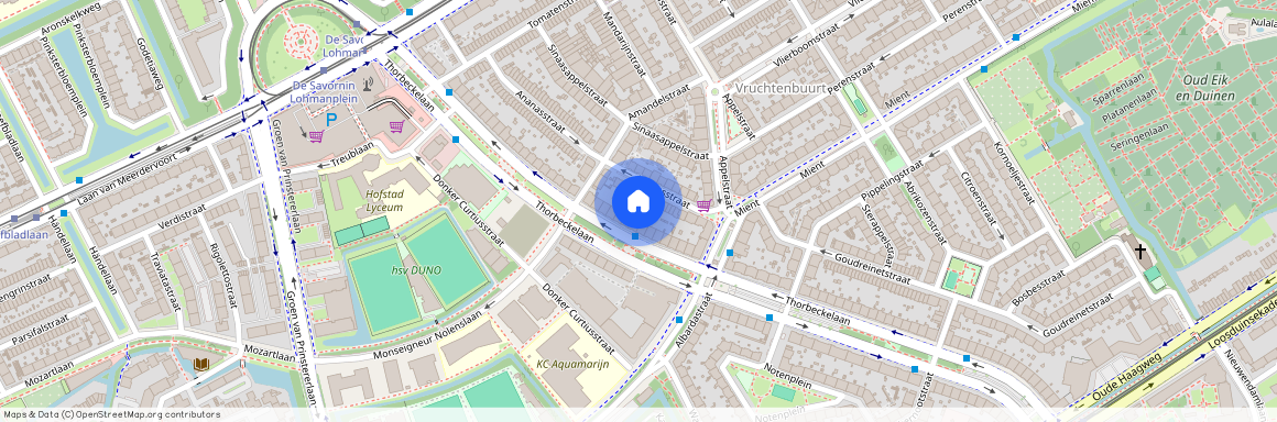 Thorbeckelaan 457, 2564 CB, Den Haag