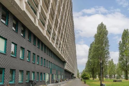 Borneolaan - Photo 4