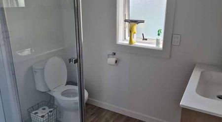 Modern 4BR Marewa Retreat w/ Deck & A/C - Photo 4