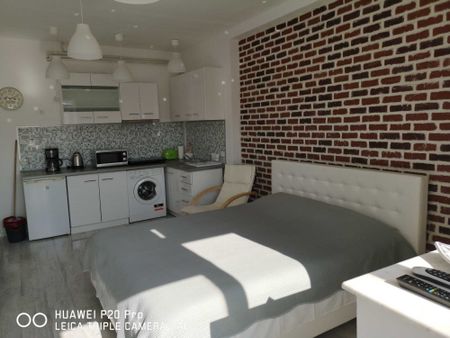 Garsoniera Centru istoric 375 Euro - Photo 2