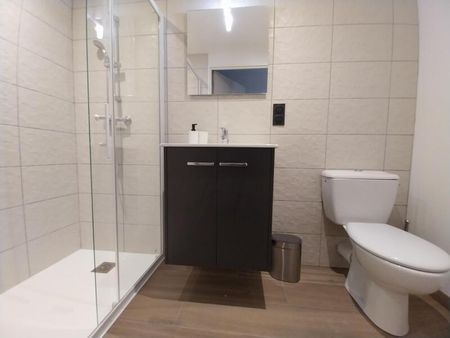 Location Appartement 1 pièce 18m² ORLEANS 45000 - Photo 4
