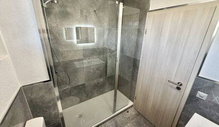 UP TO 3 MONTHS FREE -3.5 renovated rooms in Coldrerio - Photo 4