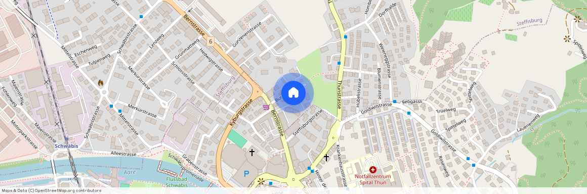 3612, Steffisburg, Burgfeldweg, 13