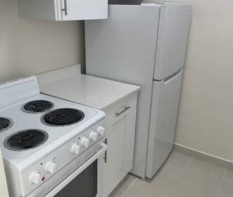 Newly Renovated Large One Bedroom (Vancouver) WITH PROMOTION!!! - Photo 2