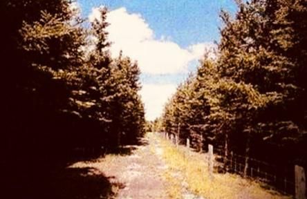 For Lease - 383206 20th Side Road, Amaranth, Ontario - Photo 3