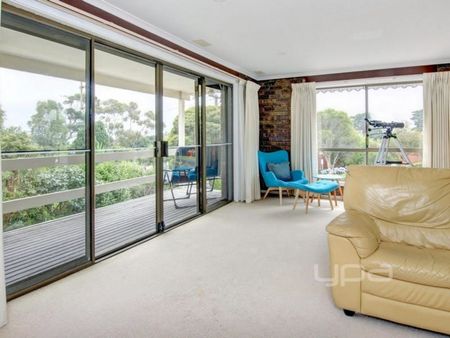 Fabulous on Foote Street! - Photo 2