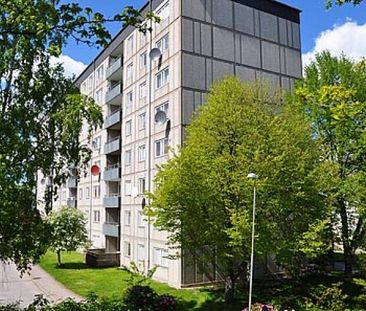 Baron Rogers Gata 1 - Photo 1