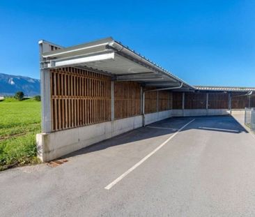 MODERN WOHNEN IN MAXGLAN: 3-Zimmer-Wohnung mit Terrasse & Garten - Photo 4