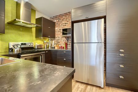 Condo for rent, Montréal (Le Plateau-Mont-Royal) - Photo 3