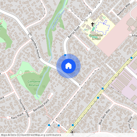 100 Barrys Road, Glendene, Waitakere City