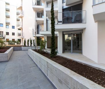 2.5 LOCALI ARREDATO E MODERNO A VIGANELLO - Foto 1