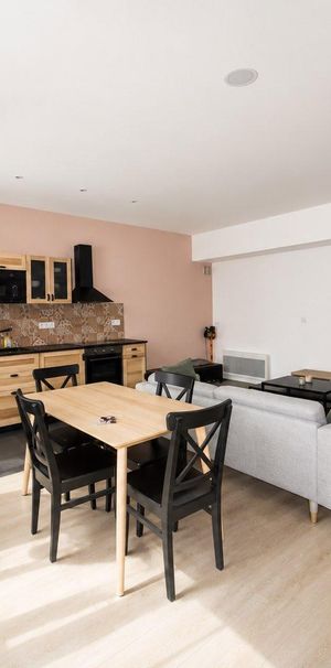 Location Appartement 2 pièces 49m² ST ETIENNE 42000 - Photo 1
