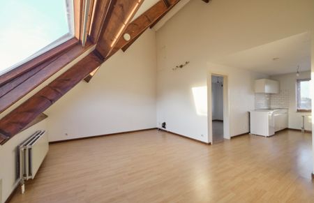 Charmant dakappartement met 1 slaapkamer te Pelt centrum - Foto 3