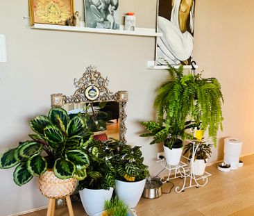 Strathfield - Photo 6