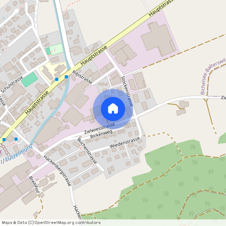 Stockenstr. 16, 8362, Balterswil