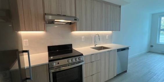 Newly Built Townhouse 3 Bed, 2 Bath, Pet Friendly, Rooftop Lounge - Photo 3