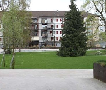 3 Zimmer, 76 m², EG - Foto 6