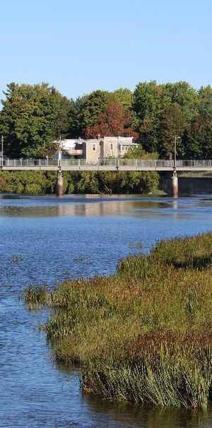 3 ½ à louer! - Photo 1