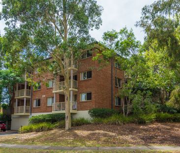 Tranquil Top-Floor Apartment with Leafy Outlook - Photo 6