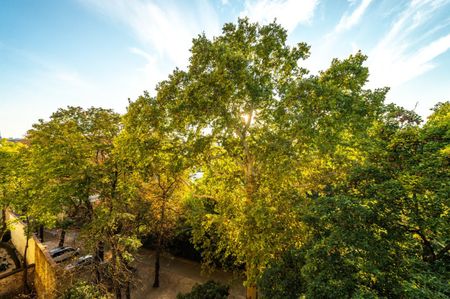 ++NEU++ Bestlage im Servitenviertel, 4-Zimmer + zwei Balkone ++GRÜNRUHELAGE++ - Photo 4