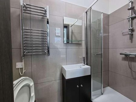 Studio Parish Lane, London, SE20 - Photo 4