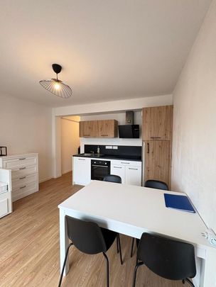 Location Appartement 1 pièce Meublé 24m² GUIPAVAS 29490 - Photo 1