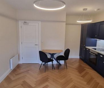 Apt 3, 3 Eglantine Place, Belfast, BT9 6EY - Photo 3