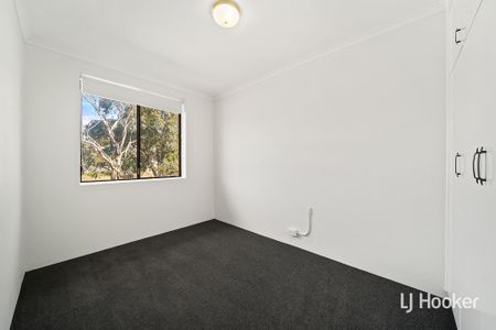 1/32 Springvale Drive, Hawker ACT 2614 - Apartment For Rent | Domain - Photo 5