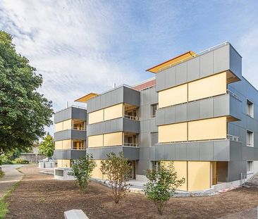 Moderne 3.5-Zimmerwohnung mit Gartensitzplatz zu vermieten - Foto 5