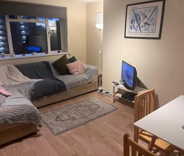 3 Bed Flat, Sulivan Court, SW6 - Photo 4