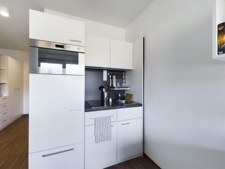 Bigger Bude 1.03.23 - Photo 4