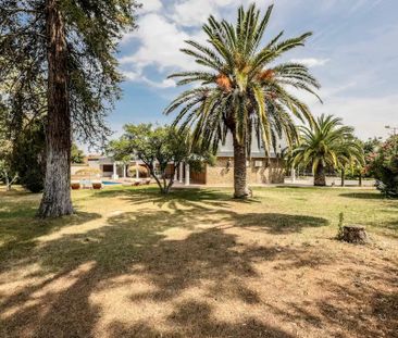 Calle Praderas, Majadahonda, Community of Madrid 28221 - Photo 3