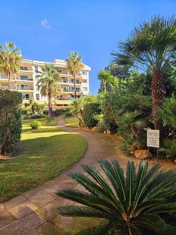 2 Carrer Garcilaso de la Vega, Calvià, Balearic Islands 07181 - Photo 4