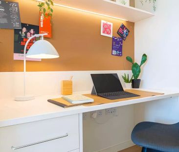 Gold Studio Plus Deluxe - Photo 4