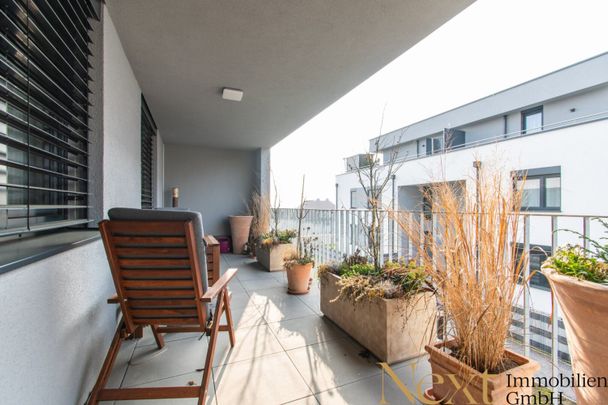 Einladende 3-Zimmer-Wohnung mit gemütlicher Loggia in Kematen a.d. Krems zu vermieten! - Foto 1