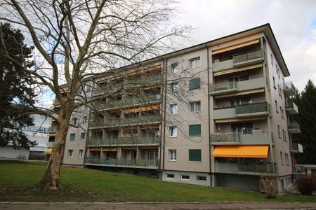 Superbe 2½ pièces rénové en plein coeur de la ville ! - Photo 5